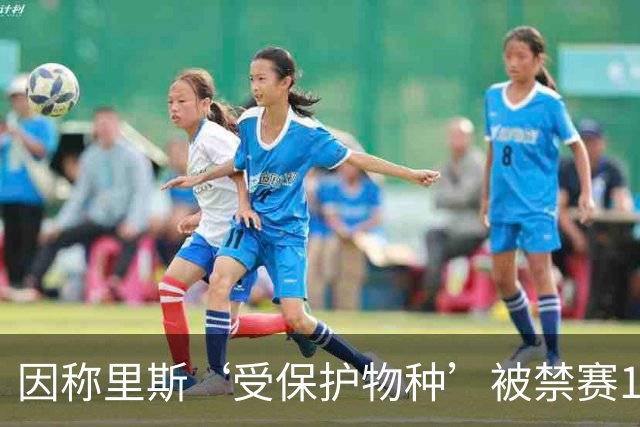 因称里斯‘受保护物种’被禁赛1场，前NBA球星怒批：该禁2场，她是在叫我们动物